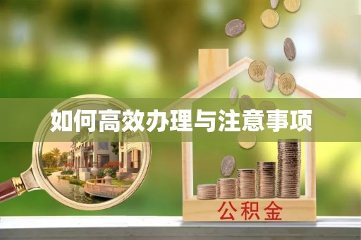 乐山如何高效办理与注意事项