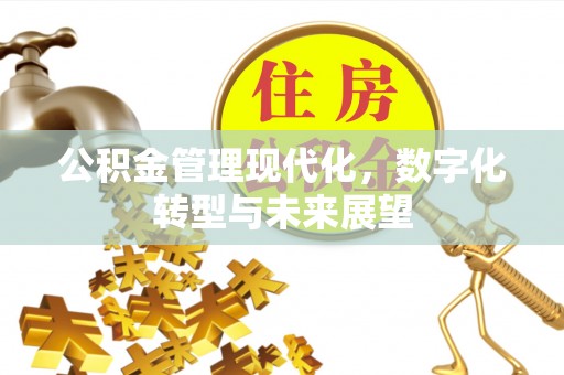 乐山公积金管理现代化，数字化转型与未来展望
