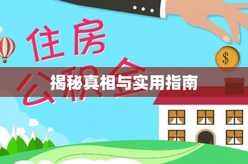 乐山揭秘真相与实用指南