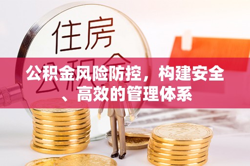 乐山公积金风险防控，构建安全、高效的管理体系