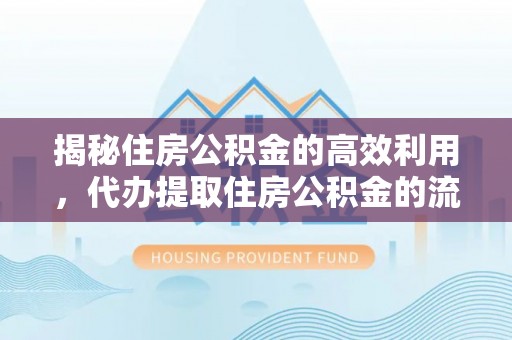 乐山揭秘住房公积金的高效利用，代办提取住房公积金的流程与技巧