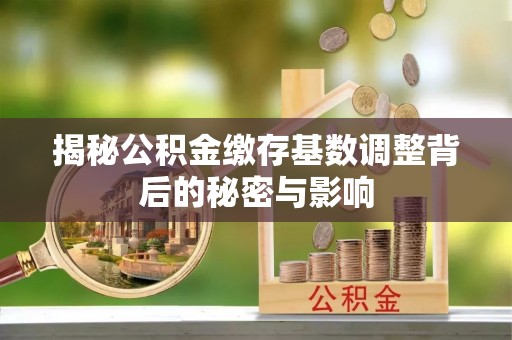 乐山揭秘公积金缴存基数调整背后的秘密与影响