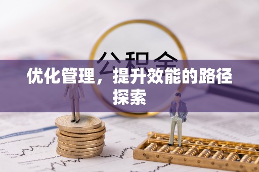 乐山优化管理，提升效能的路径探索