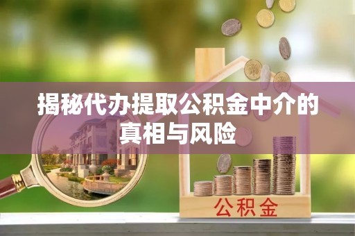 乐山揭秘代办提取公积金中介的真相与风险