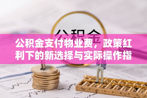 乐山公积金支付物业费，政策红利下的新选择与实际操作指南