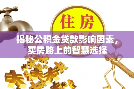 乐山揭秘公积金贷款影响因素，买房路上的智慧选择