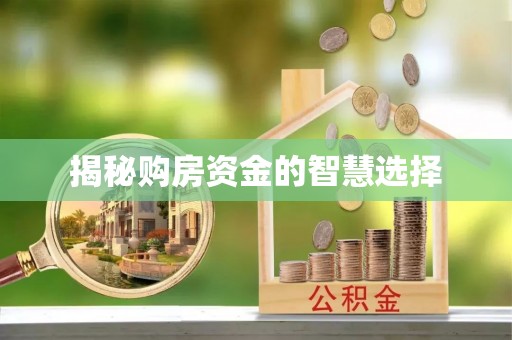 乐山揭秘购房资金的智慧选择