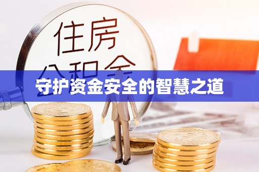 乐山守护资金安全的智慧之道