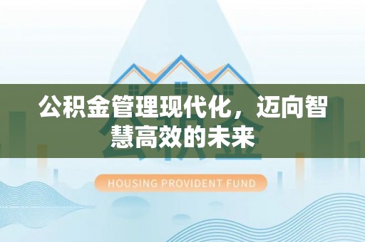 乐山公积金管理现代化，迈向智慧高效的未来