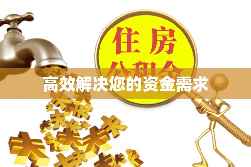 乐山高效解决您的资金需求