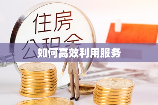 乐山如何高效利用服务