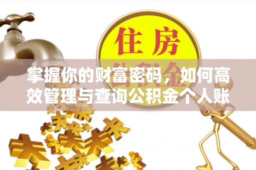 乐山掌握你的财富密码，如何高效管理与查询公积金个人账户信息