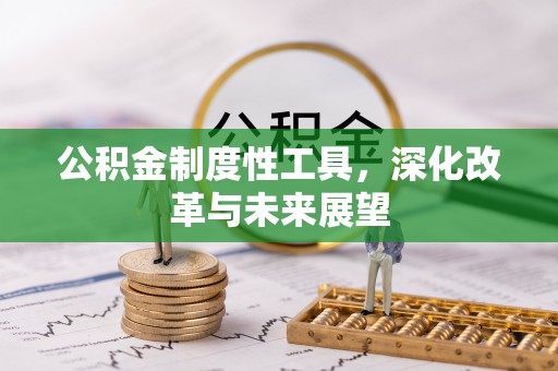 乐山公积金制度性工具，深化改革与未来展望