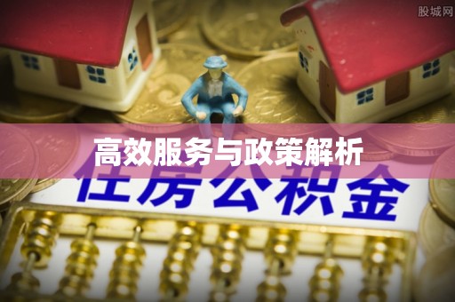 乐山高效服务与政策解析