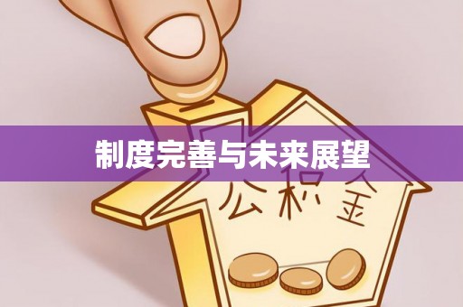 乐山制度完善与未来展望