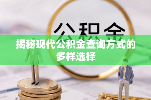 乐山揭秘现代公积金查询方式的多样选择