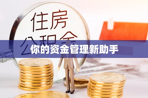 乐山你的资金管理新助手