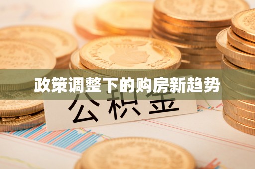 乐山政策调整下的购房新趋势
