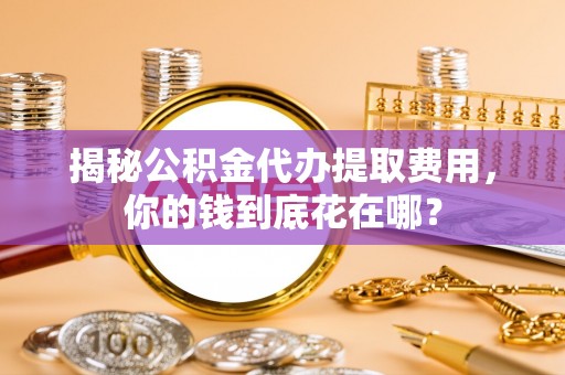 乐山揭秘公积金代办提取费用，你的钱到底花在哪？