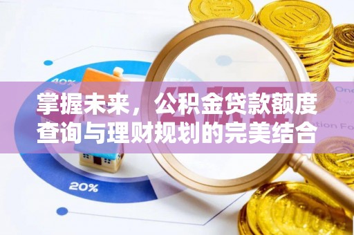 乐山掌握未来，公积金贷款额度查询与理财规划的完美结合