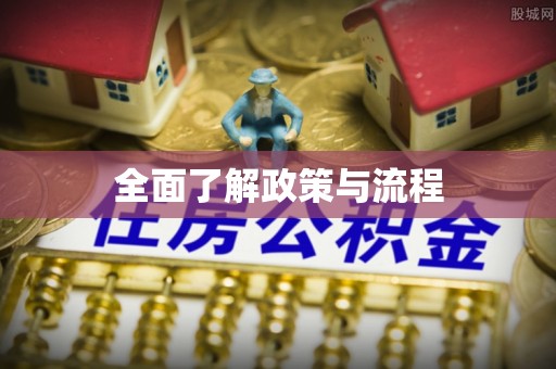 乐山全面了解政策与流程