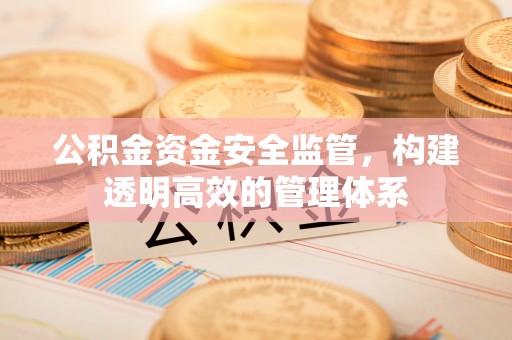 乐山公积金资金安全监管，构建透明高效的管理体系
