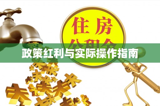 乐山政策红利与实际操作指南