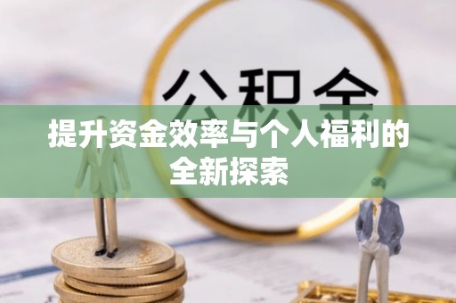乐山提升资金效率与个人福利的全新探索