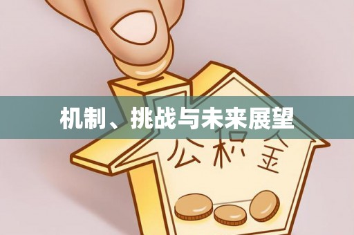 乐山机制、挑战与未来展望