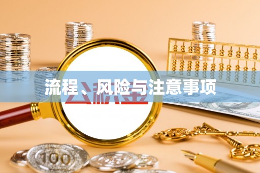 乐山流程、风险与注意事项