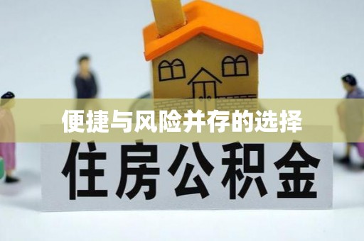 乐山便捷与风险并存的选择