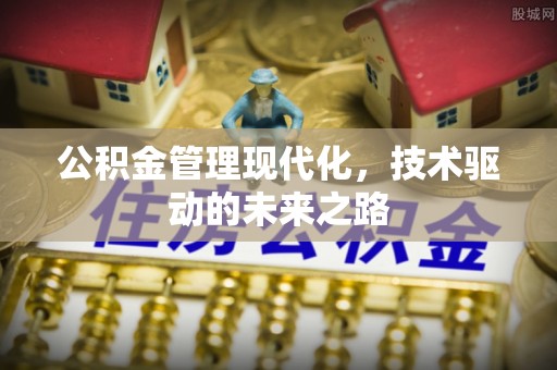 乐山公积金管理现代化，技术驱动的未来之路